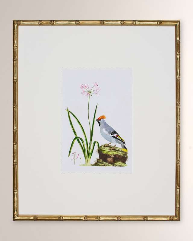 "Bird Habitat II" Framed Giclee